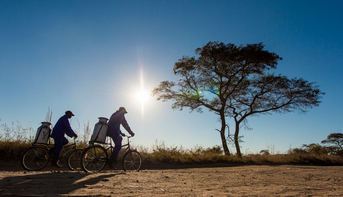 Mucho más que simples bicicletas, las Buffalo son una forma de cambiar la vida de las personas Mucho más que simples bicicletas, las Buffalo son una forma de cambiar la vida de las personas