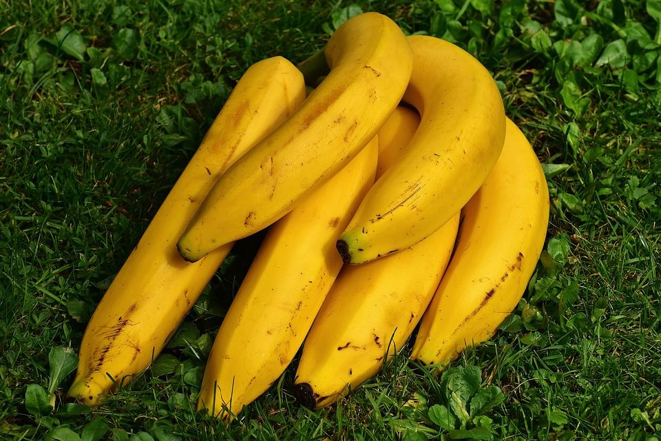 Platano Platano