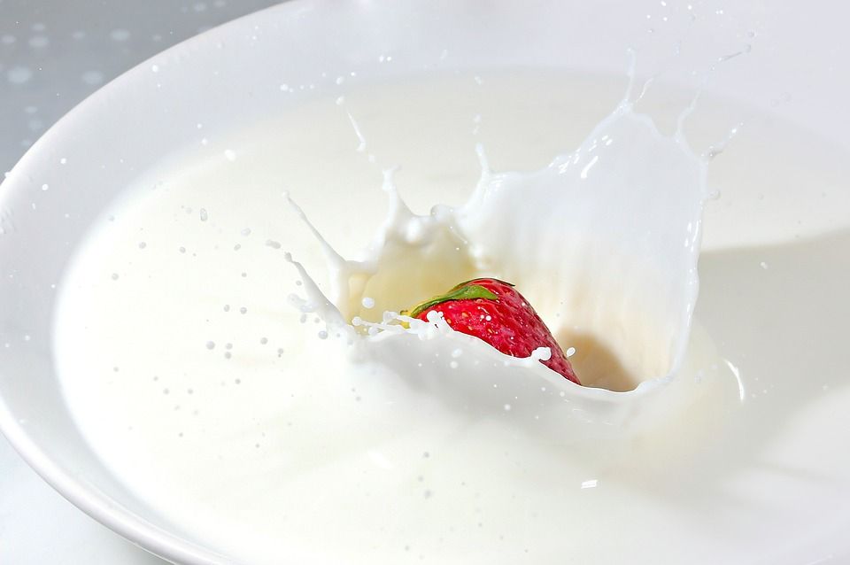 milk 4082580 960 720 milk 4082580 960 720