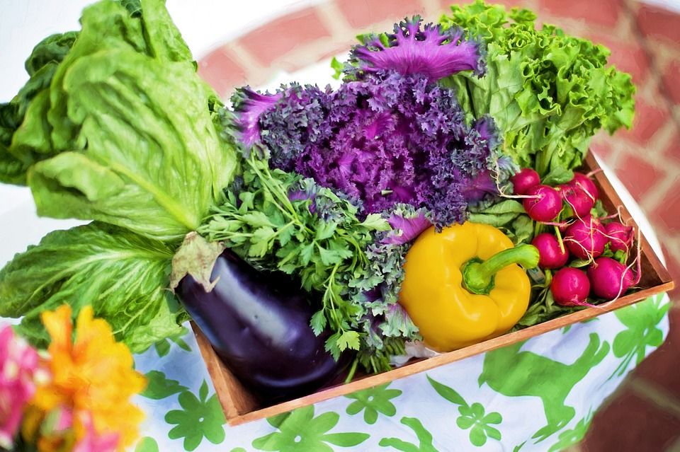 vegetables 790022 960 720 vegetables 790022 960 720