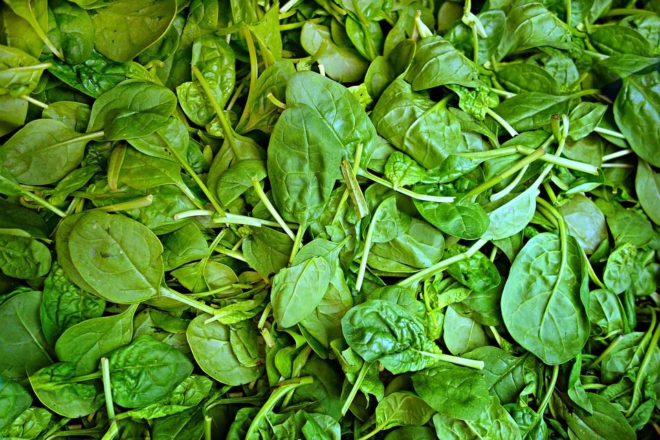 spinach 1522283 960 720