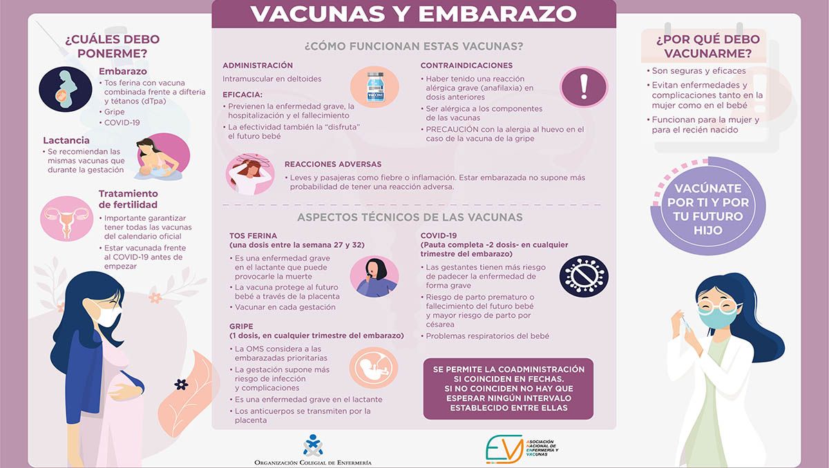 Infografia Vacunas y embarazo Infografia Vacunas y embarazo