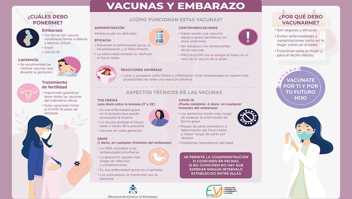 Infografia Vacunas y embarazo