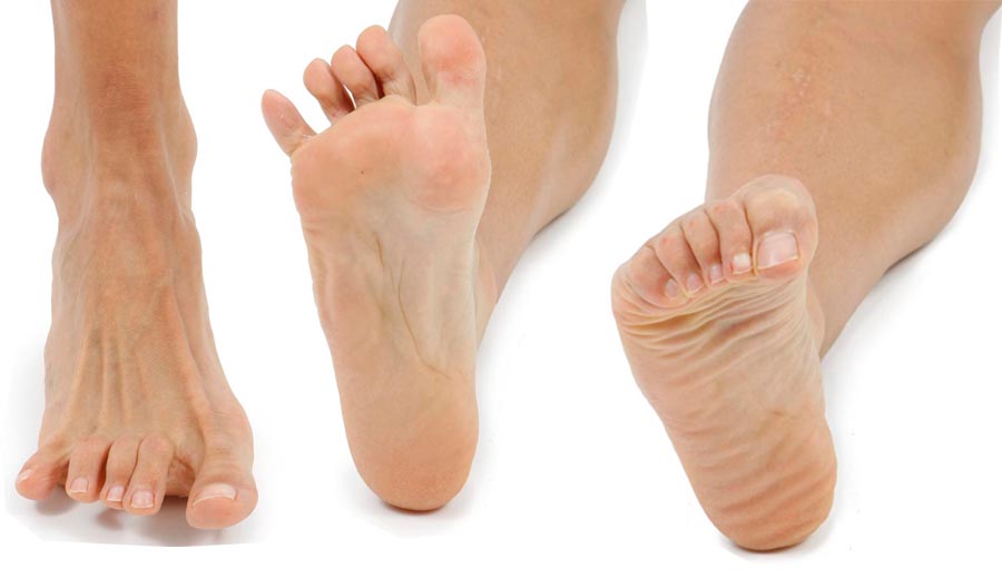 Dedos móviles para conseguir un pie hábil