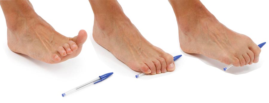 Dedos móviles para conseguir un pie hábil