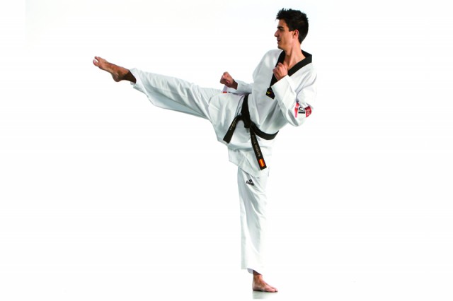 Bandal Chagi