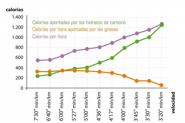 Consumo calórico ritmos carrera