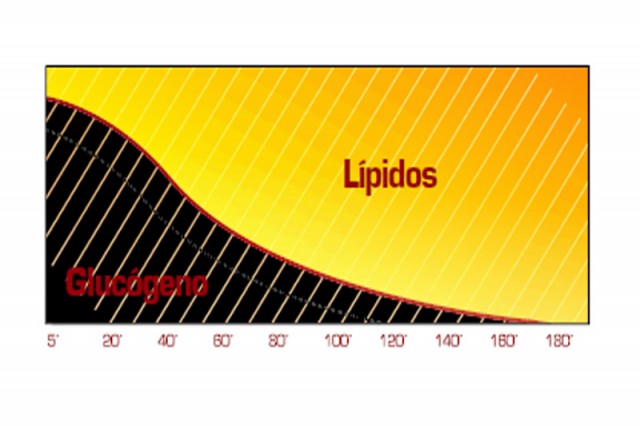 Gráfico fuerza cardio