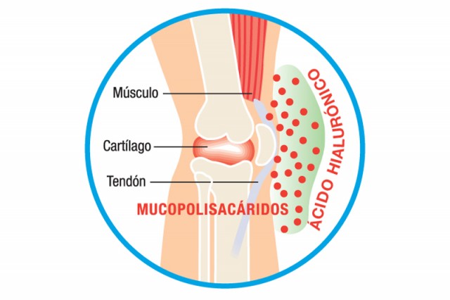 Mucopolisacáridos