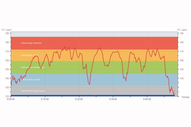 Frecuencia cardiaca variable