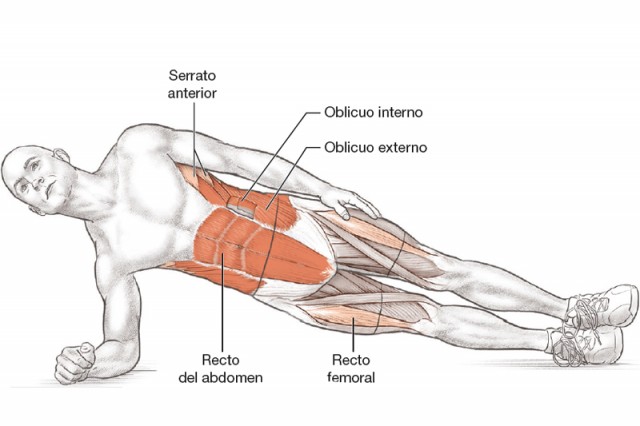 Anatomía triatleta plancha girada