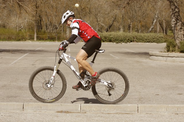 Bordillo reguero