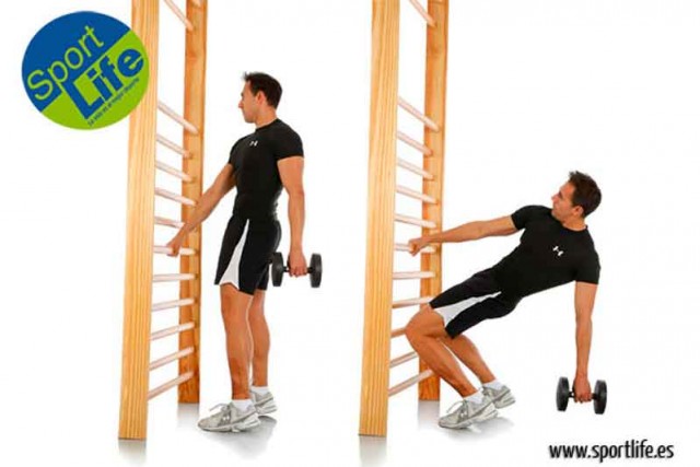 Sissy squat estable