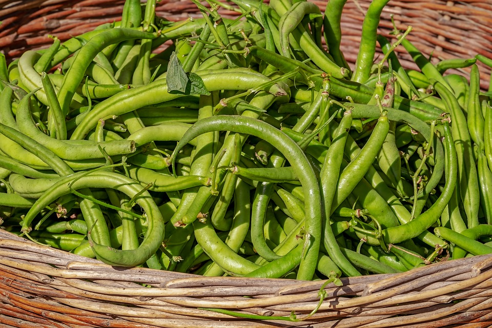 Tabla de alimentos ricos en fibra