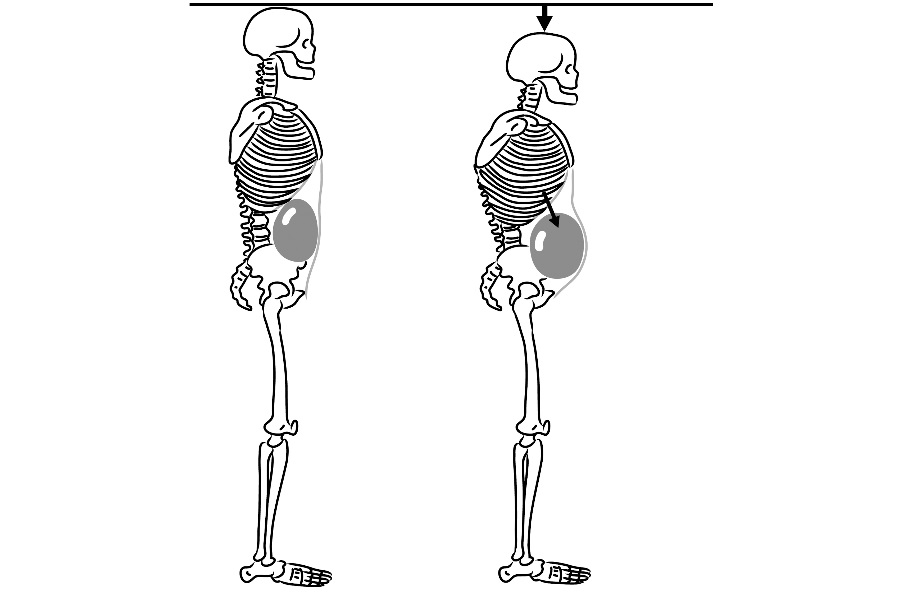 Los 7 mitos de los abdominales