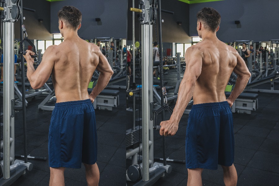 Los mejores ejercicios para el brazo