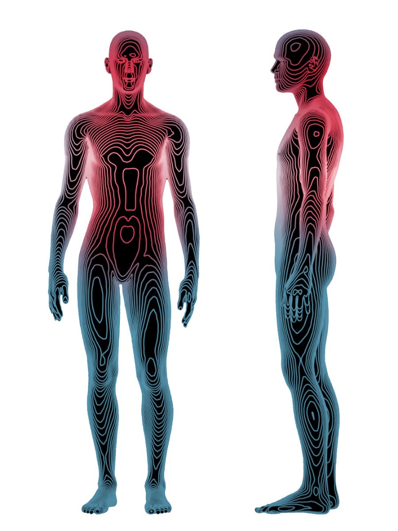 La temperatura de cada zona corporal es diferente, como lo son sus necesidades de transpiración y protección. Bodymapping responde con diseño específico para cada zona de tejido.