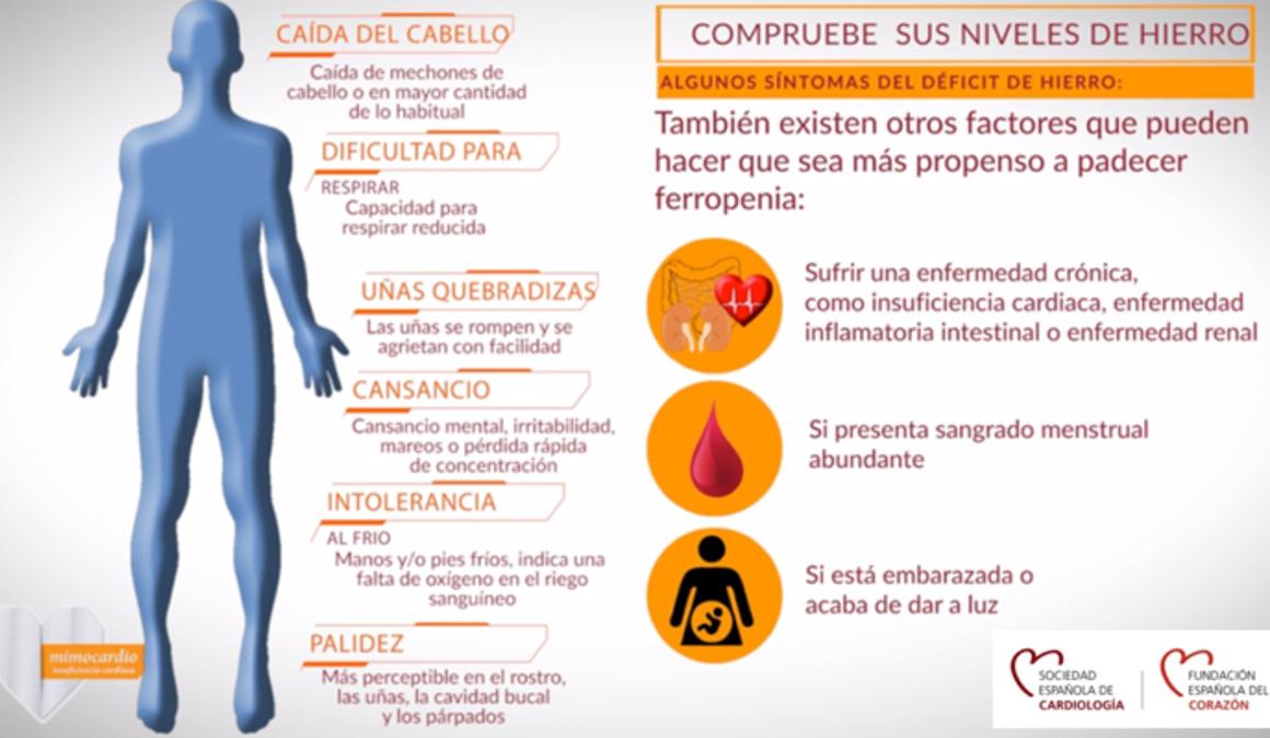 Palidez, caída del pelo, problemas para respirar... ¿Conoces los síntomas sobre el déficit de hierro?
