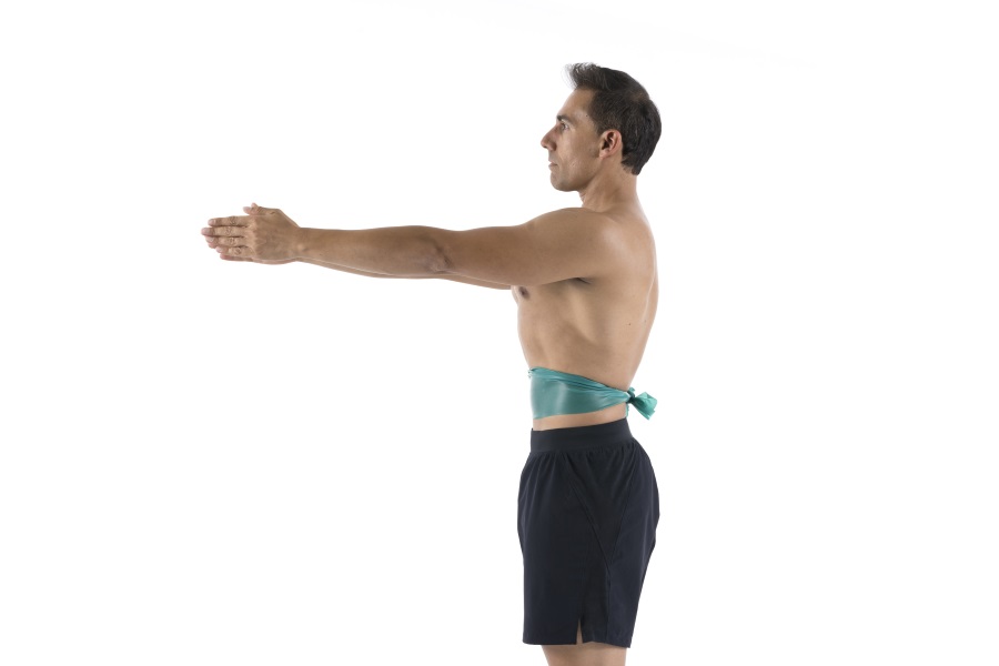 La faja abdominal, el corsé natural de nuestro cuerpo