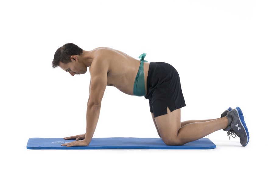 La faja abdominal, el corsé natural de nuestro cuerpo