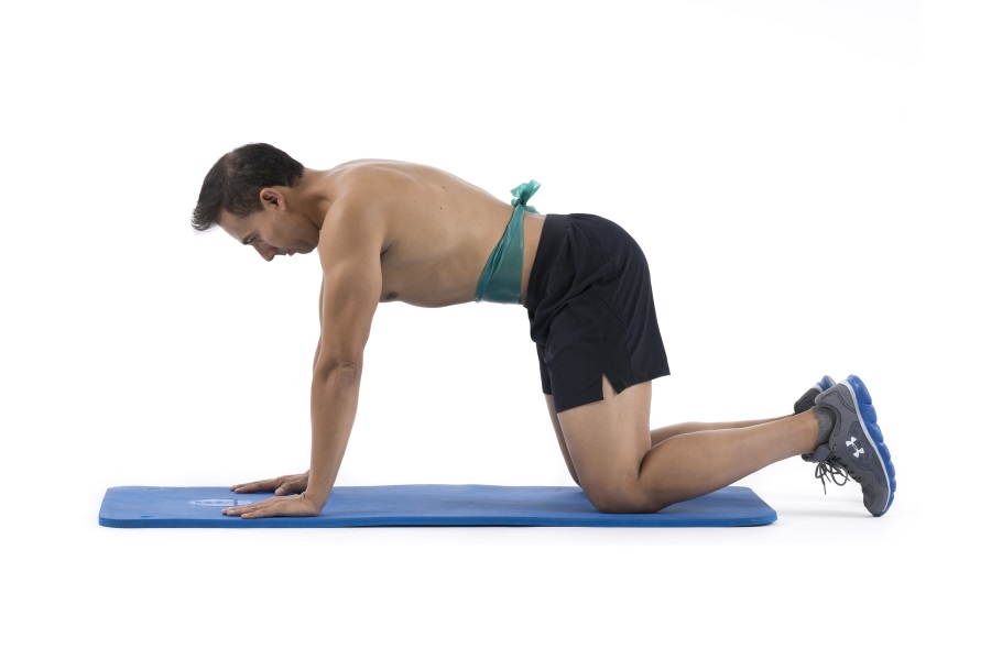 La faja abdominal, el corsé natural de nuestro cuerpo