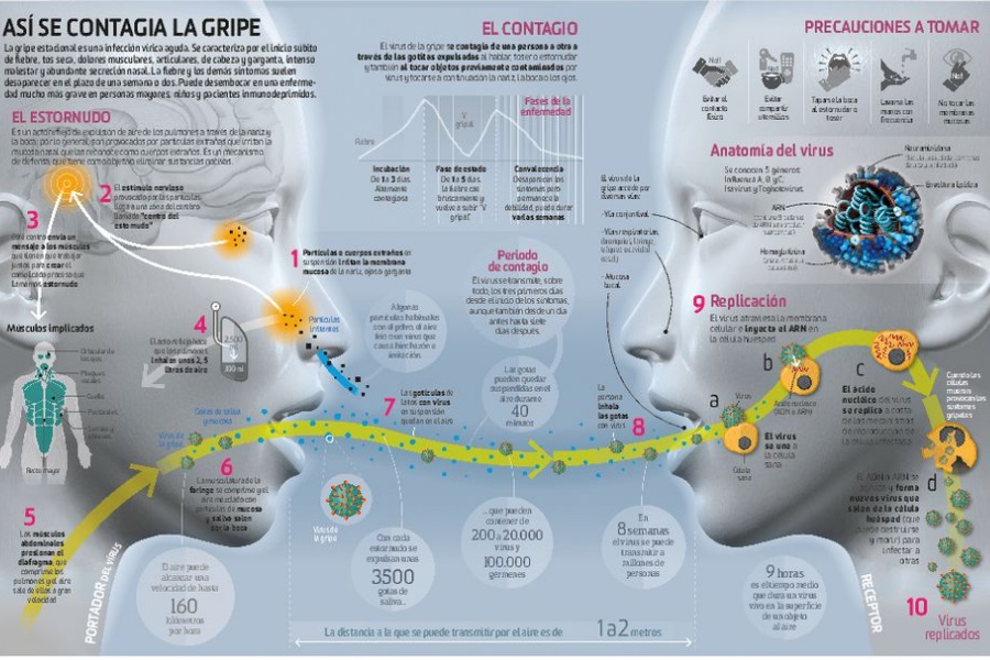 Así funciona... la gripe