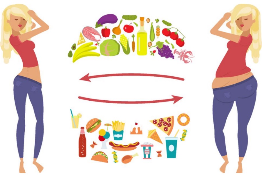 ¿Cómo funciona el metabolismo?