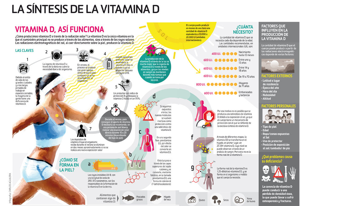 ¿Dónde está mi vitamina D? 