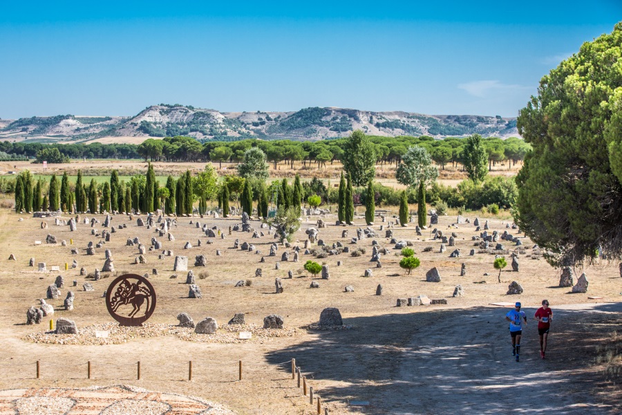 Peñafiel acogerá la III edición de la Ribera Run Experience, la carrera que transcurre entre bodegas