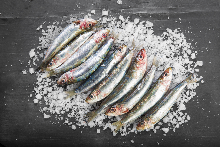 ¿Qué beneficios puedo conseguir si consumo alimentos con vitamina B12?