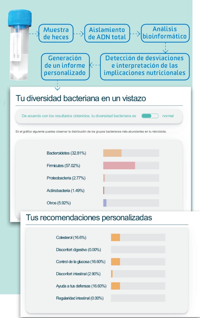 Nutrición con precisión: ¿cómo puedo conocer mi microbiota?