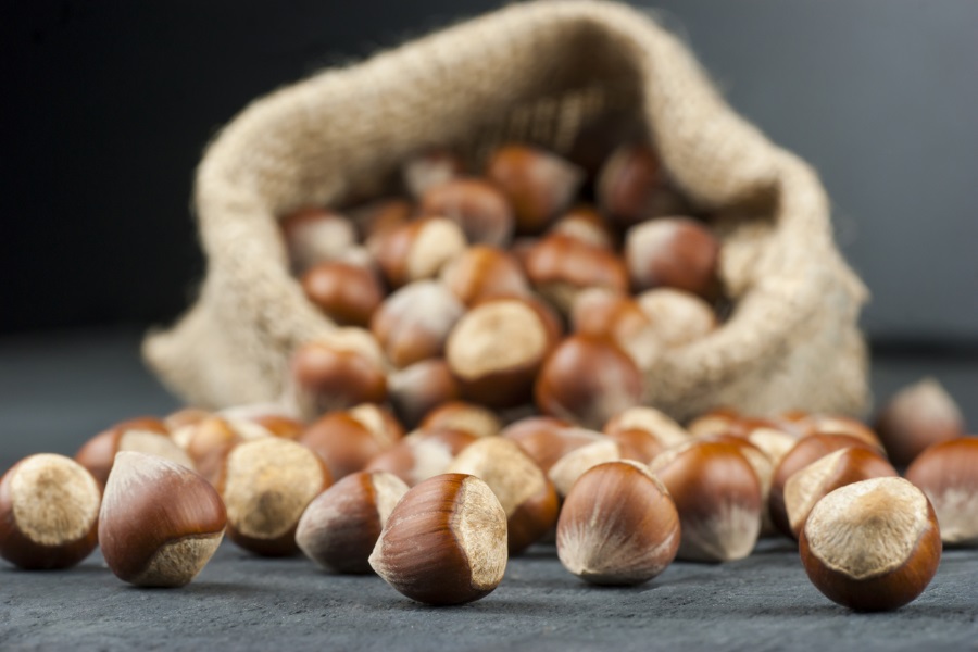 La avellana, el superalimento energético