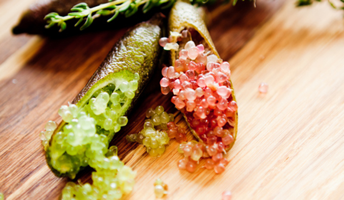 ¿Qué es el caviar vegetal de lima?