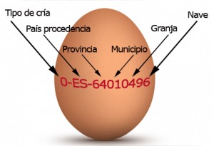 10 alimentos que no debes meter en la nevera