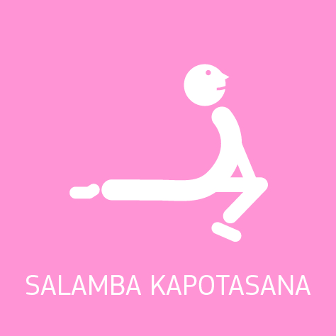 Diccionario Yogui