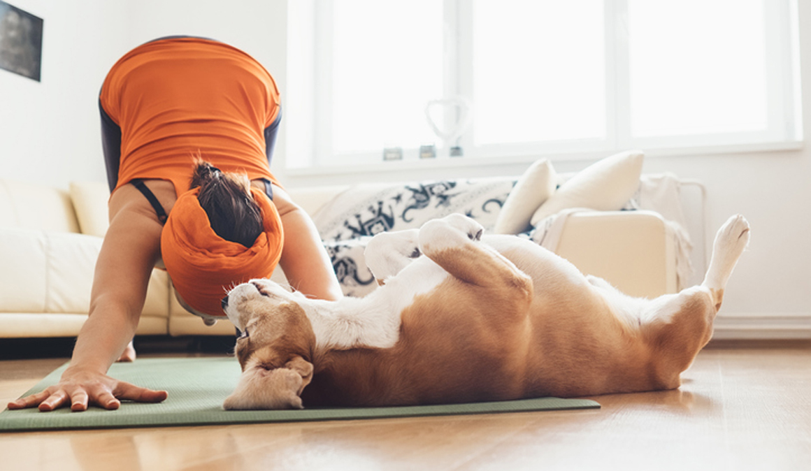 Descubre el Doga, yoga con perros