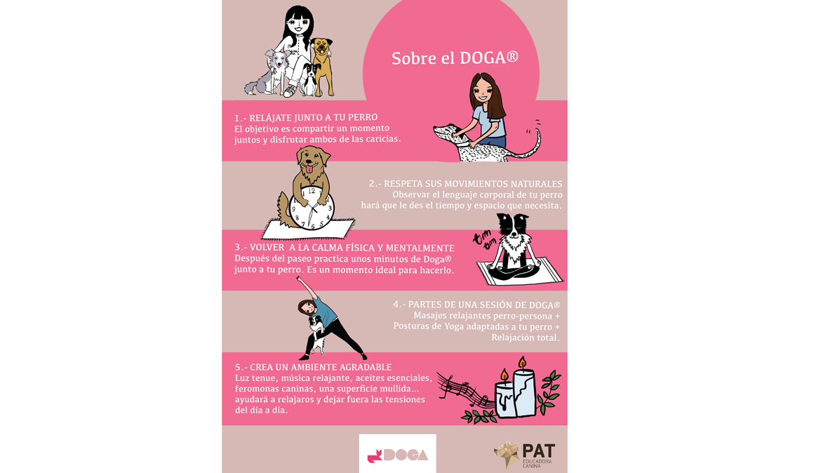 Descubre el Doga, yoga con perros