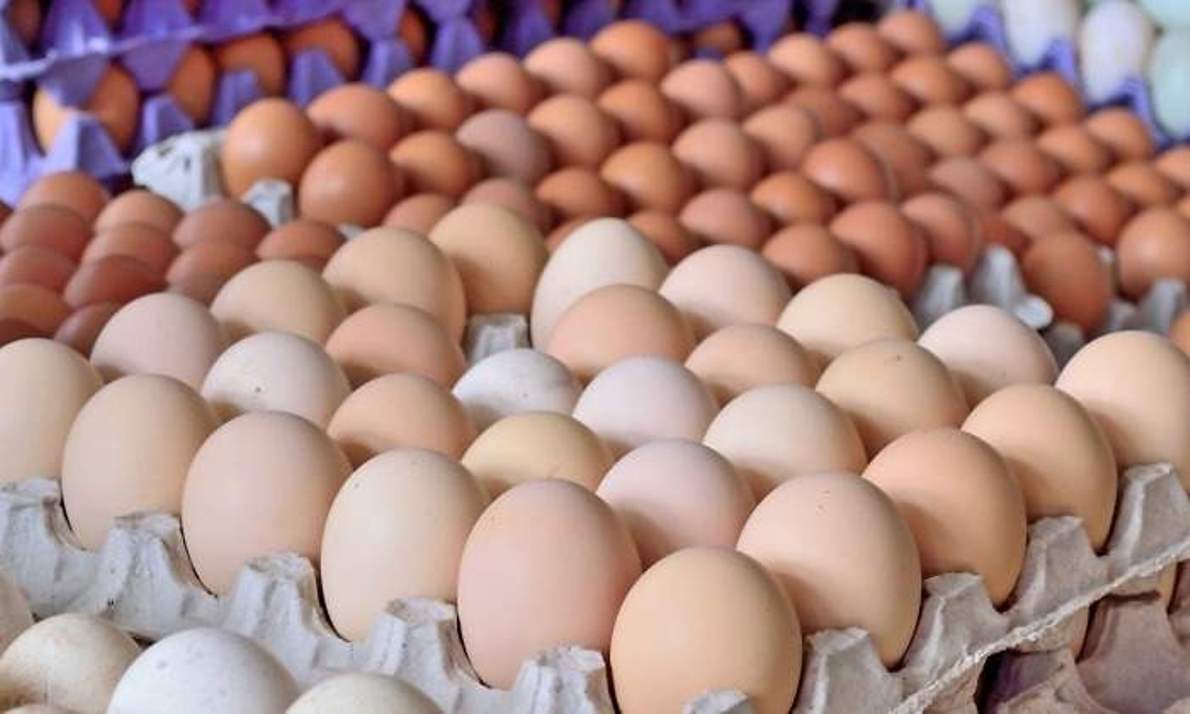 Los 7 alimentos que no deberías comer crudos