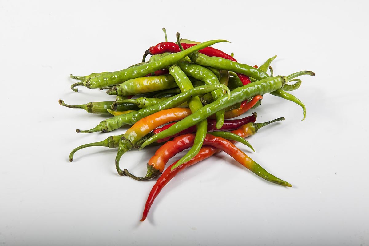 Los alimentos con "calorías activas"
