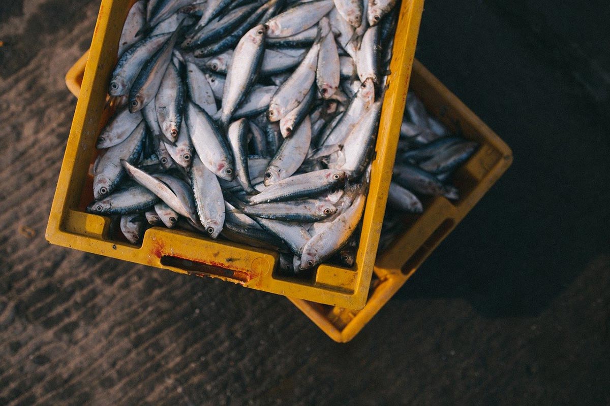 Los alimentos con "calorías activas"