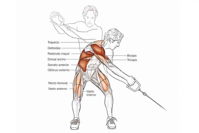 Anatomía de un ciclista: 10 ejercicios para volar dando pedales