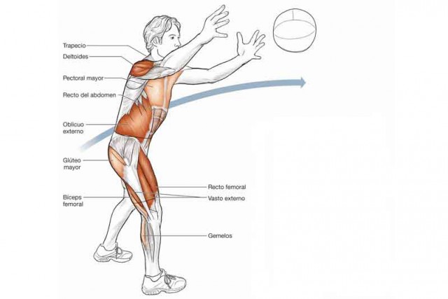 Anatomía de un ciclista: 10 ejercicios para volar dando pedales