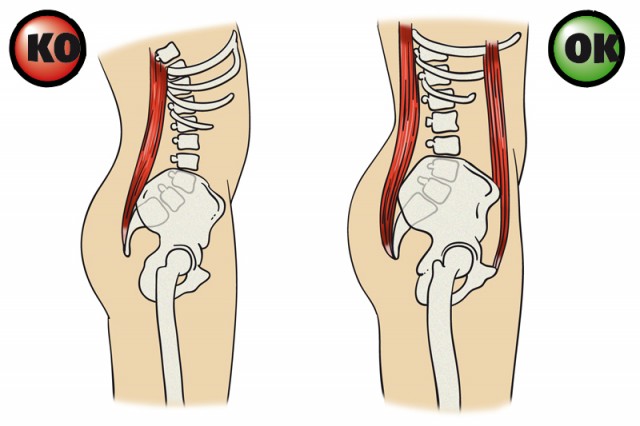 Todo abdominales Nivel 1: Antes de entrenar, activar