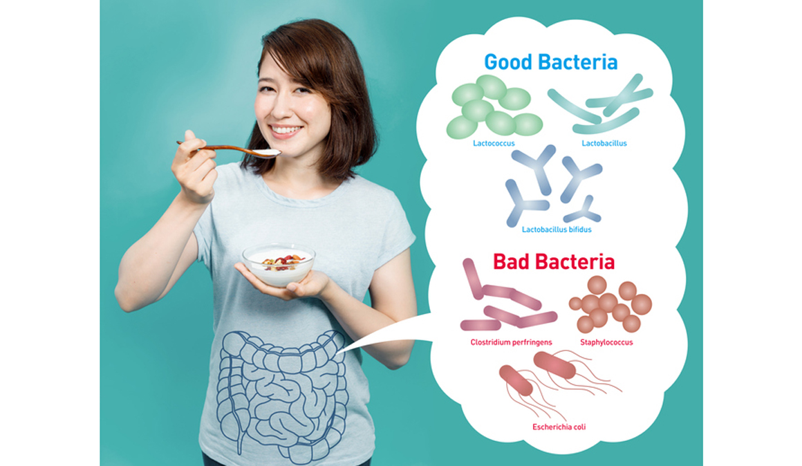 La microbiota intestinal también importa a la hora de ganar músculo