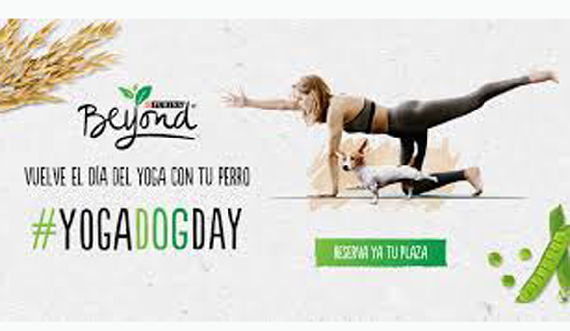 Vuelve el Yoga Dog Day el 16 de noviembre en Madrid