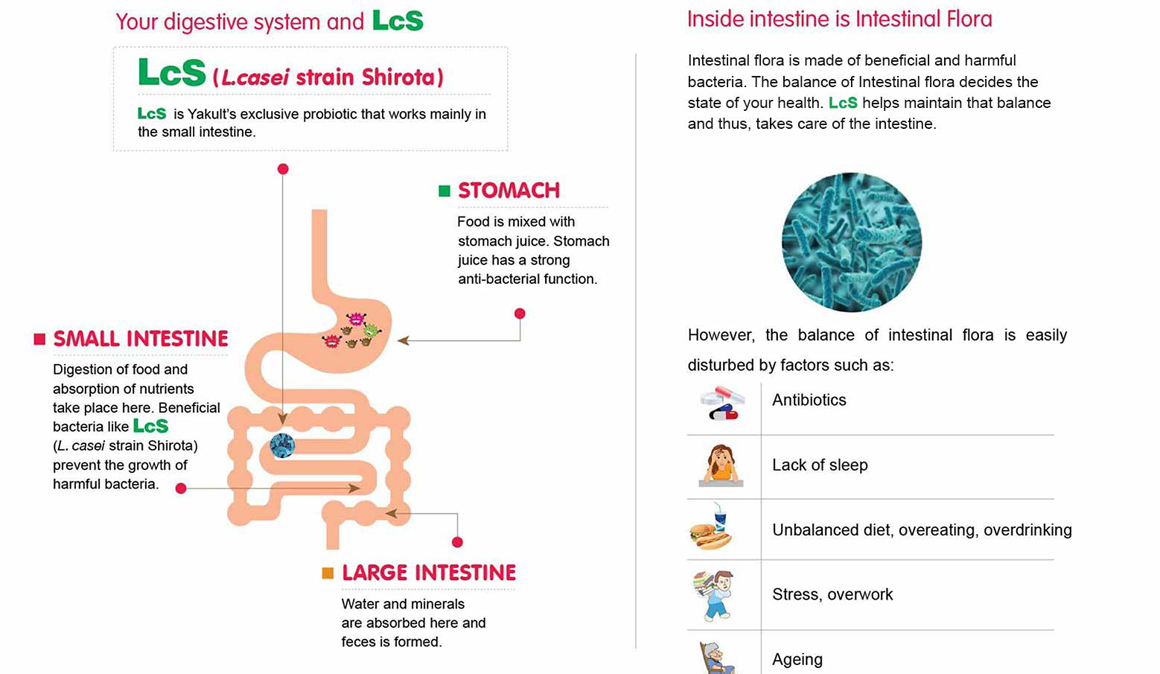 Probióticos para evitar las infecciones de garganta después del maratón