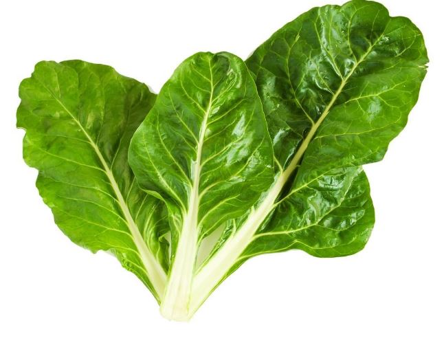 Los 11 alimentos que favorecen el tránsito intestinal