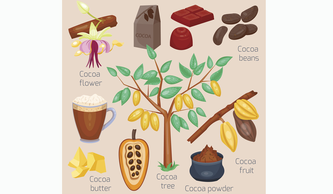 El lado oscuro del chocolate negro 