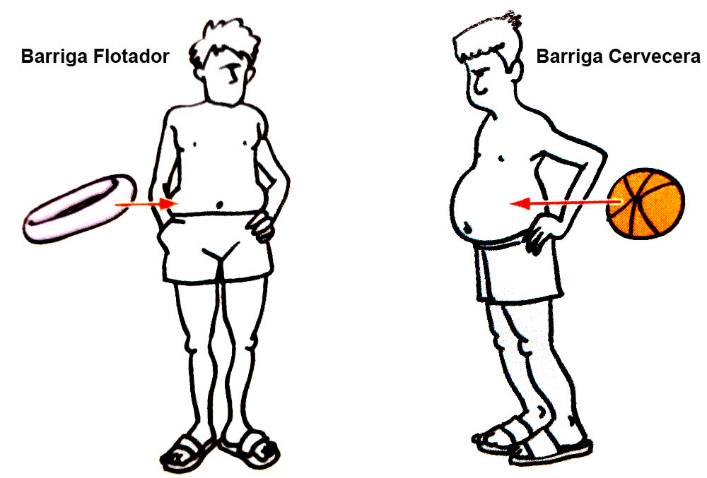 ¿Barriga flotador o cervecera?