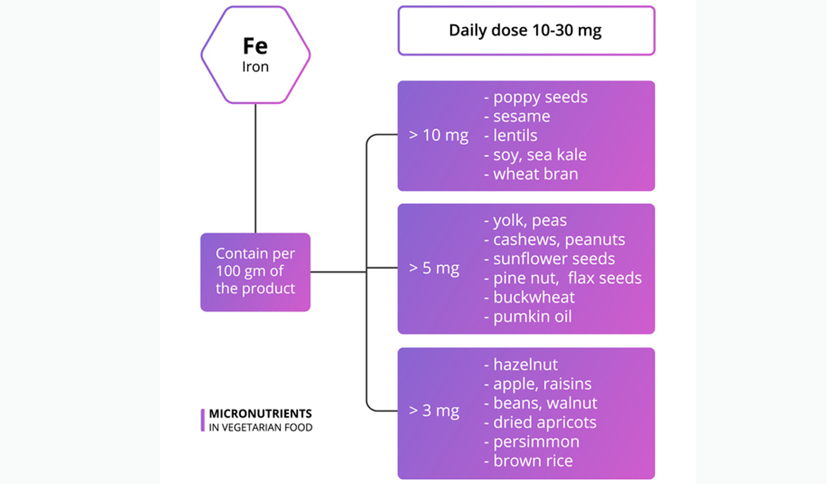 El hierro en la alimentación vegetariana y vegana deportiva